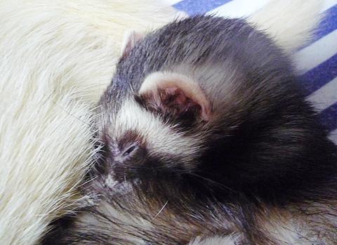 守られているワタシ