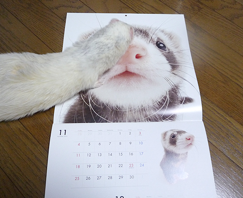 あっタロウやめて