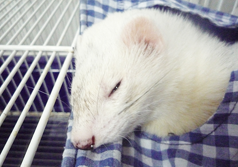 あれ、寝てる？