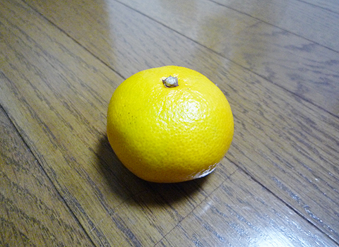 みかん！