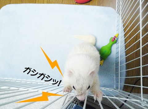 こうしてくれる！