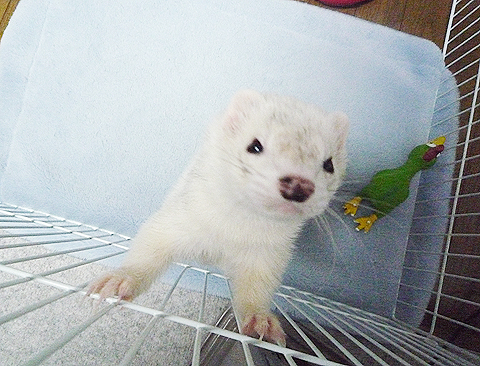 ねー、そっち行きたいよ?