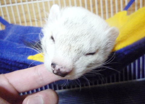 この流れはもしや！