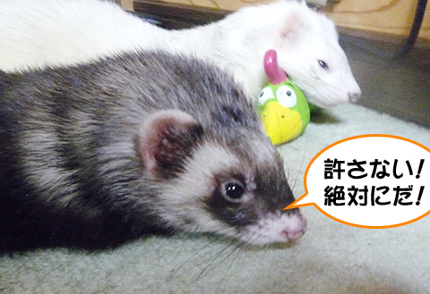 許さない！絶対にだ！