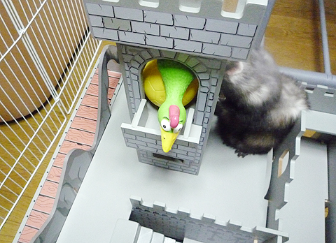 こんなところに！