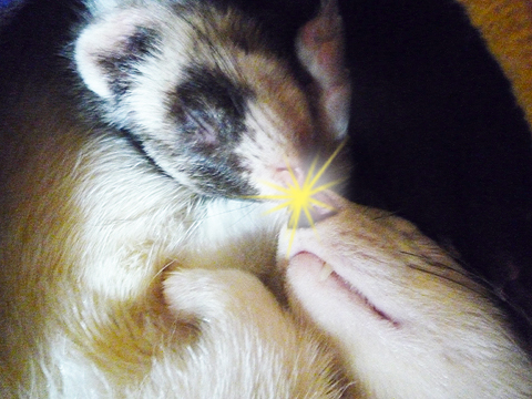 ずっと、ともだち…