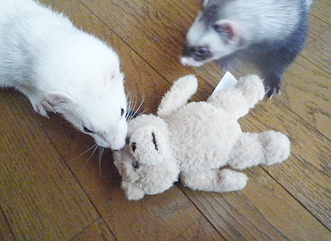 慎重にチェック中