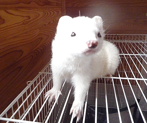 飛び気味ですね。