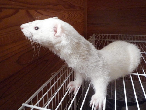 陽射しがまぶしいです。