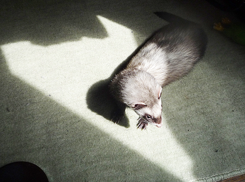 今日はいい天気