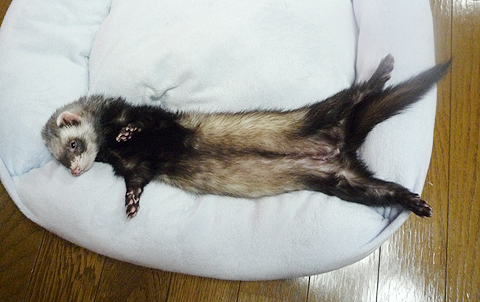 おもわず仰向け