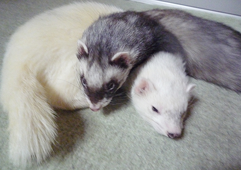 おや、もしや？