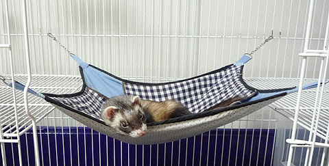 寂しいよう…。