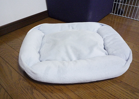 ここにも居ない…。