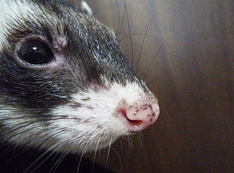 恥ずかしいワ…