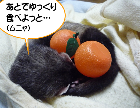 あとで食べよ。