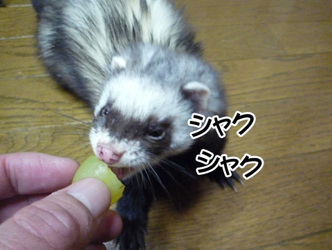 シャクシャク！