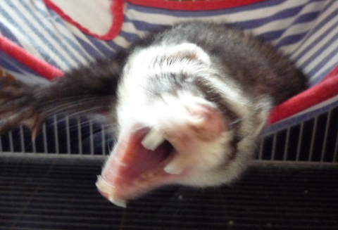 ぐあぁぁぁー！