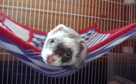 仰向けになります。