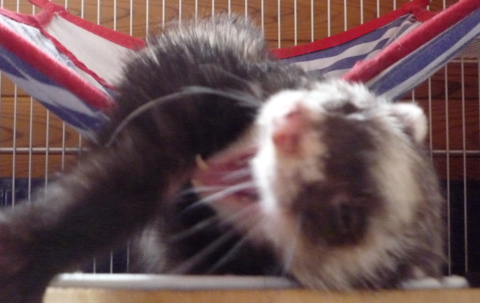 おりゃあぁぁぁ！