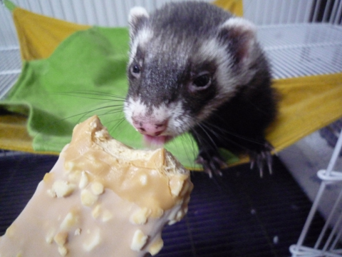 わーい、アイスよ