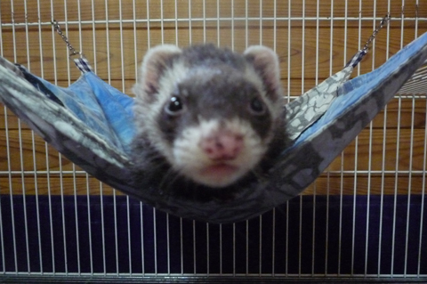 なんかイライラ