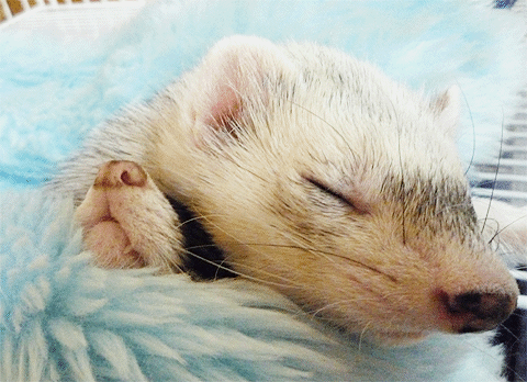 お目目ぱちくり