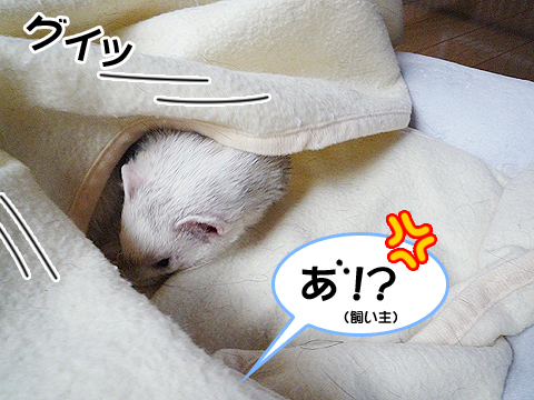 あれっ？怒っちゃった？