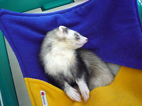 腰のラインがいい感じでしょ？