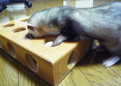 穴の大きさが絶妙