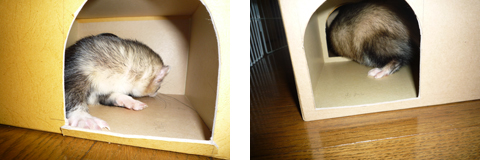 内部はいたってシンプル