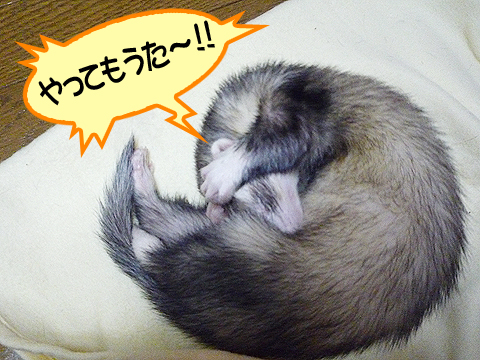 やってもうた?!!