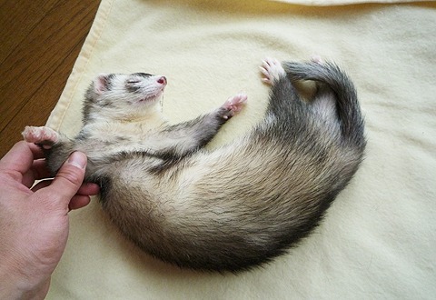 無意識だからいいけいどね