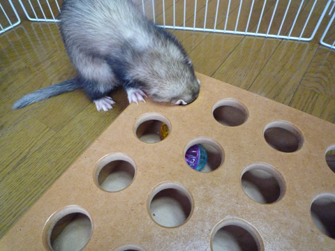 もうちょっと…