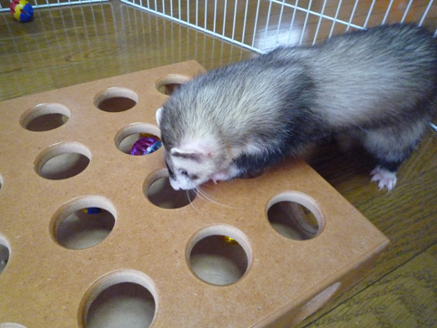 ボールが取りたいです