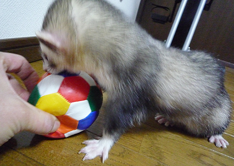 なにするんですか