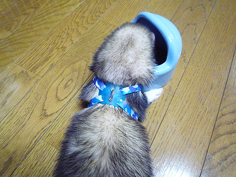 おっ、別アングルですね