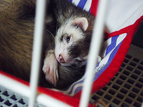 目はあいてるけど虚ろ…