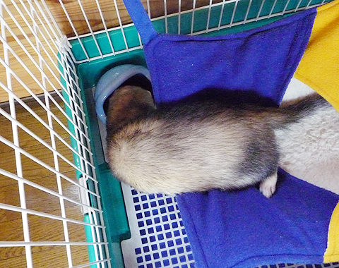 上から見るとこんな感じ