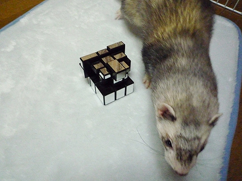 もう退散します。