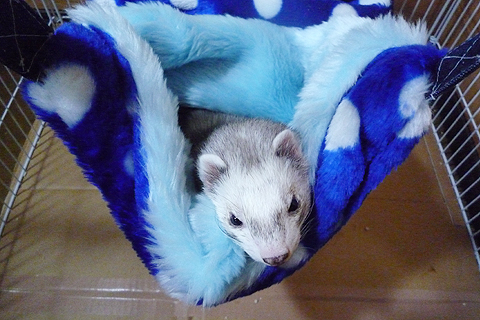 相談なのですが…