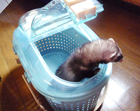 お出かけ、お出かけ♪