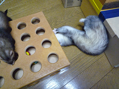 ボクはお兄ちゃんなんだ…