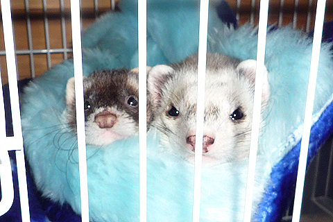 ちょっと窮屈…