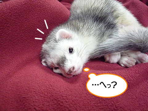 う?ん、なぁに？