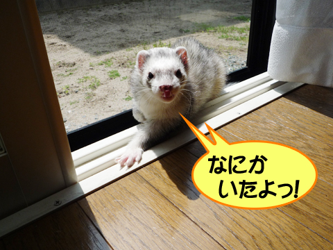 動いた、動いた！