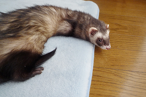 なんか暑いですね