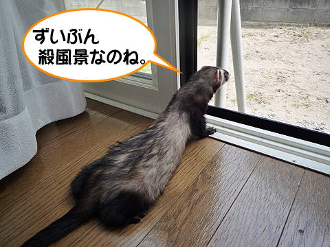 なんにもないじゃん