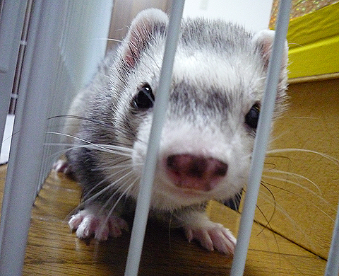 逆になった気分はどうだい？