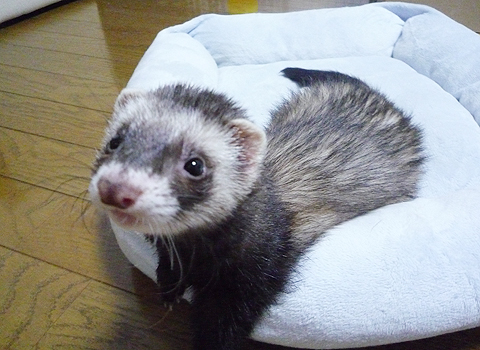 連絡待ってま?す